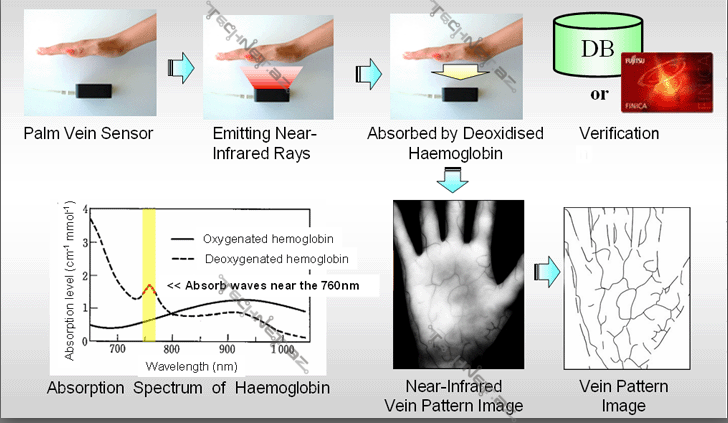 palm-secure-vein-tech