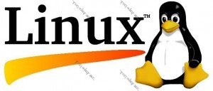linux_tux_1