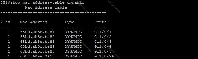 show mac address table