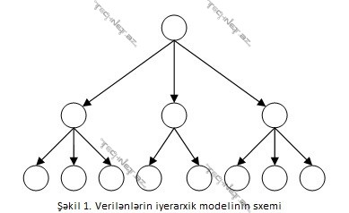 Iyerarxik1