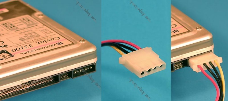 molex-4-pin