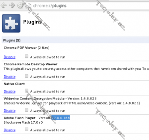 chrome_adobe_version
