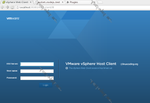 google_chrome_vsphere