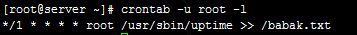 crontab-u-root-l1